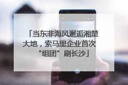 当东非海风邂逅湘楚大地，索马里企业首次“组团”刷长沙