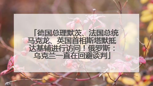 德国总理默茨、法国总统马克龙、英国首相斯塔默抵达基辅进行访问！俄罗斯：乌克兰一直在回避谈判