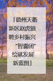 德州天衢新区赵虎镇聘乡村振兴“智囊团” 绘就发展新蓝图