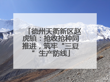 德州天衢新区赵虎镇：抢收抢种同推进，筑牢“三夏”生产防线