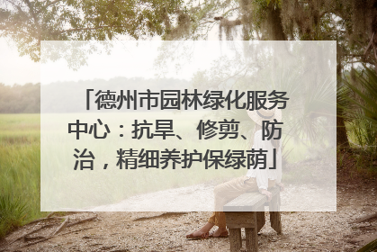 德州市园林绿化服务中心：抗旱、修剪、防治，精细养护保绿荫