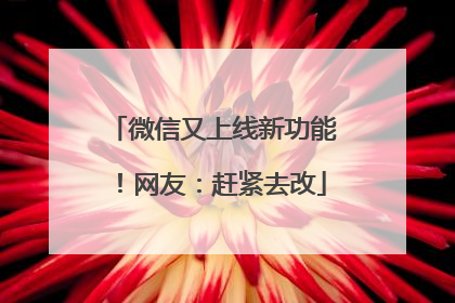 微信又上线新功能！网友：赶紧去改