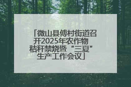微山县傅村街道召开2025年农作物秸秆禁烧暨“三夏”生产工作会议
