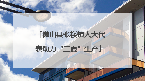 微山县张楼镇人大代表助力“三夏”生产