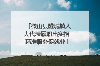 微山县驩城镇人大代表履职出实招精准服务促就业