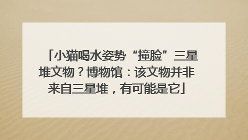 小猫喝水姿势“撞脸”三星堆文物？博物馆：该文物并非来自三星堆，有可能是它