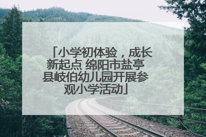 小学初体验，成长新起点 绵阳市盐亭县岐伯幼儿园开展参观小学活动