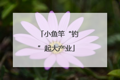 小鱼竿“钓”起大产业