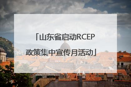 山东省启动RCEP政策集中宣传月活动