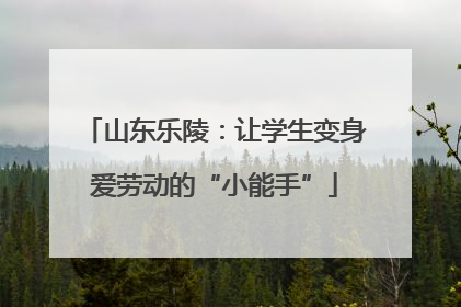 山东乐陵：让学生变身爱劳动的“小能手”