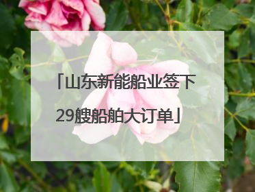 山东新能船业签下29艘船舶大订单