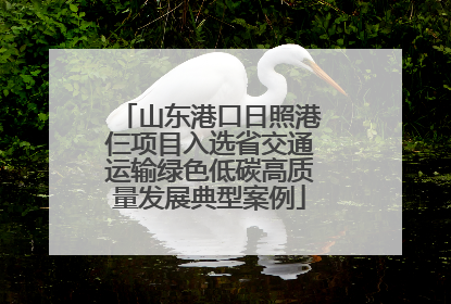 山东港口日照港仨项目入选省交通运输绿色低碳高质量发展典型案例