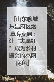 山东聊城东昌府区烟草专卖局：让“志愿红”成为乡村振兴的亮丽底色