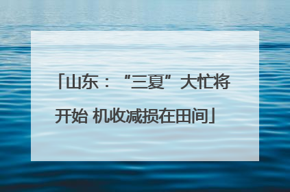 山东：“三夏”大忙将开始 机收减损在田间
