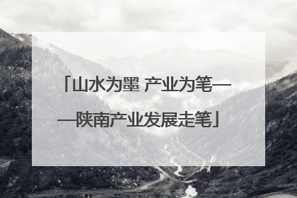 山水为墨 产业为笔——陕南产业发展走笔