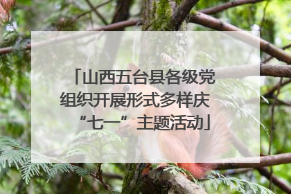 山西五台县各级党组织开展形式多样庆“七一”主题活动