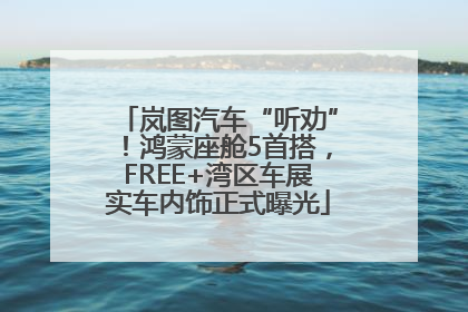 岚图汽车“听劝”！鸿蒙座舱5首搭，FREE+湾区车展实车内饰正式曝光