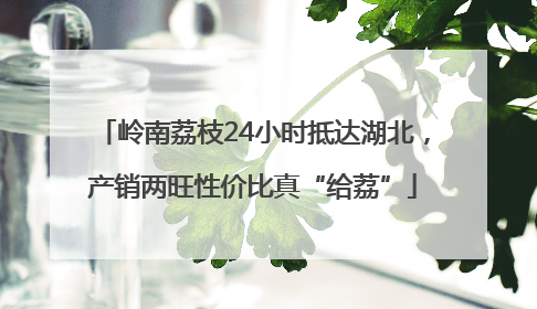 岭南荔枝24小时抵达湖北，产销两旺性价比真“给荔”