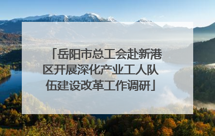 岳阳市总工会赴新港区开展深化产业工人队伍建设改革工作调研
