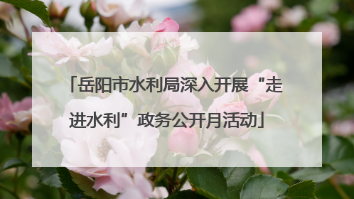 岳阳市水利局深入开展“走进水利”政务公开月活动