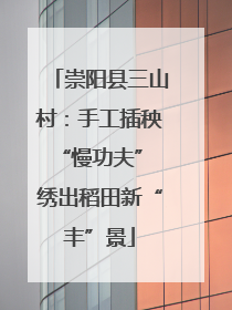 崇阳县三山村：手工插秧“慢功夫” 绣出稻田新“丰”景