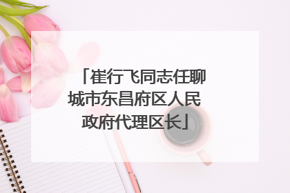 崔行飞同志任聊城市东昌府区人民政府代理区长