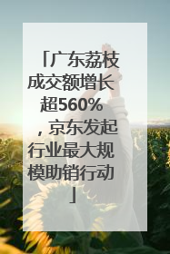 广东荔枝成交额增长超560%，京东发起行业最大规模助销行动