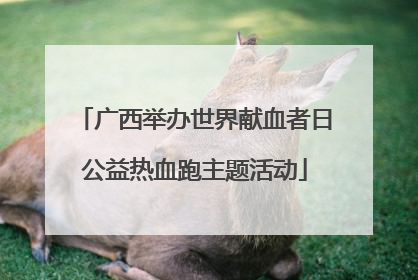 广西举办世界献血者日公益热血跑主题活动