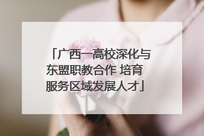 广西一高校深化与东盟职教合作 培育服务区域发展人才