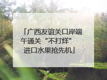 广西友谊关口岸端午通关“不打烊” 进口水果抢先机
