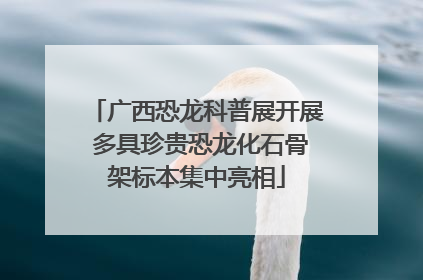 广西恐龙科普展开展 多具珍贵恐龙化石骨架标本集中亮相