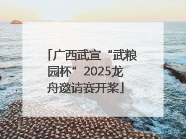 广西武宣“武粮园杯”2025龙舟邀请赛开桨
