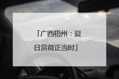 广西梧州：夏日赏荷正当时