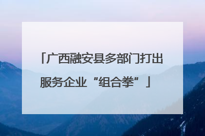 广西融安县多部门打出服务企业“组合拳”
