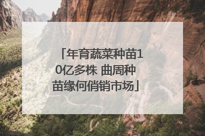 年育蔬菜种苗10亿多株 曲周种苗缘何俏销市场