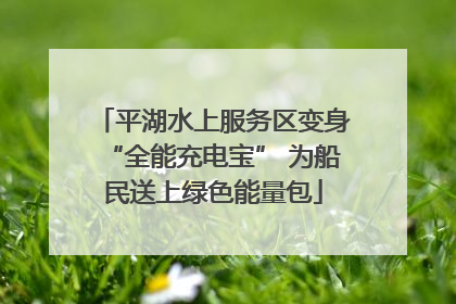 平湖水上服务区变身“全能充电宝” 为船民送上绿色能量包