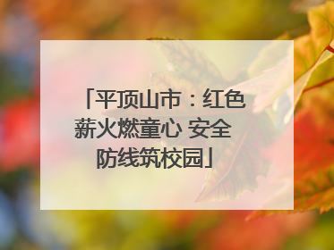 平顶山市：红色薪火燃童心 安全防线筑校园