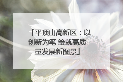 平顶山高新区:以创新为笔 绘就高质量发展新图景
