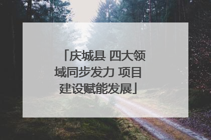 庆城县 四大领域同步发力 项目建设赋能发展