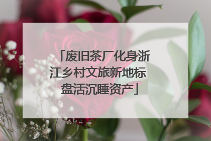 废旧茶厂化身浙江乡村文旅新地标 盘活沉睡资产