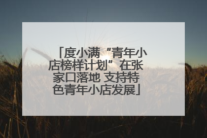 度小满“青年小店榜样计划”在张家口落地 支持特色青年小店发展