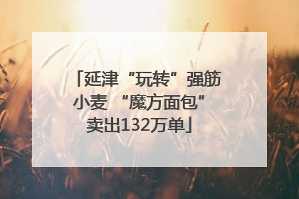 延津“玩转”强筋小麦 “魔方面包”卖出132万单