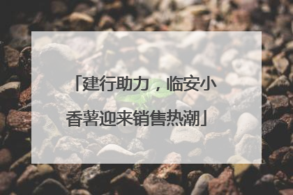 建行助力，临安小香薯迎来销售热潮