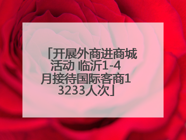 开展外商进商城活动 临沂1-4月接待国际客商13233人次