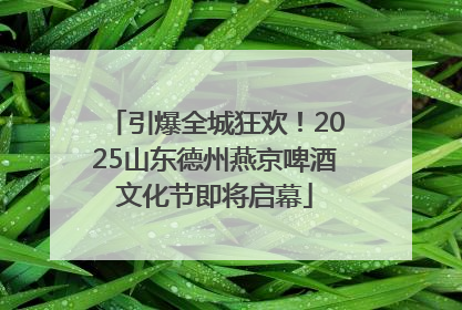 引爆全城狂欢！2025山东德州燕京啤酒文化节即将启幕