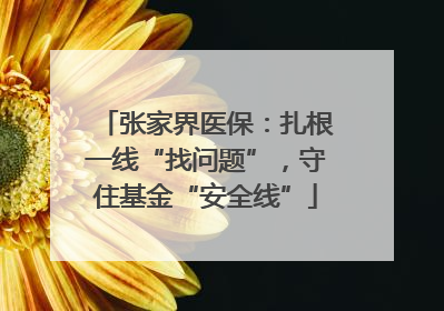 张家界医保：扎根一线“找问题”，守住基金“安全线”