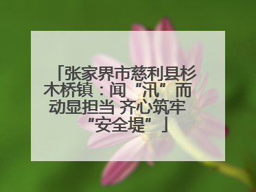 张家界市慈利县杉木桥镇：闻“汛”而动显担当 齐心筑牢“安全堤”