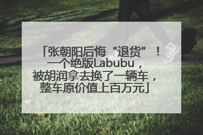 张朝阳后悔“退货”！一个绝版Labubu，被胡润拿去换了一辆车，整车原价值上百万元