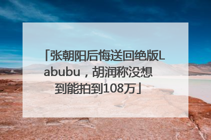 张朝阳后悔送回绝版Labubu，胡润称没想到能拍到108万