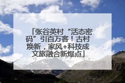 张谷英村“活态密码”引百万客！古村焕新，家风+科技成文旅融合新爆点